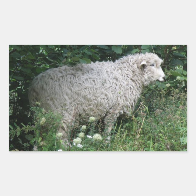 Autocollant mignon à manger aux moutons gourmands (Devant)