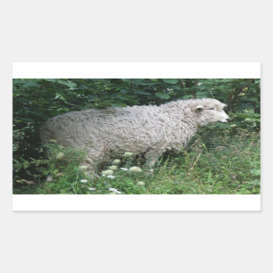 Autocollant mignon à manger aux moutons gourmands
