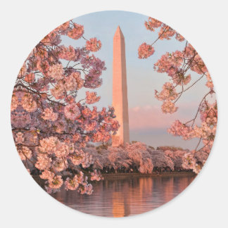 Autocollant Monument Washington et Cerisiers en Fl