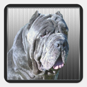 Autocollant napolitain de mastiff
