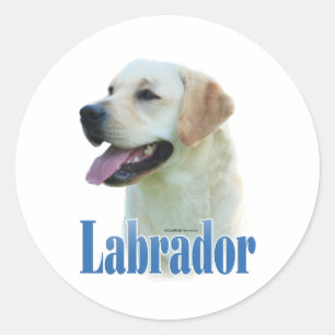 Autocollant nommé jaune de labrador retriever
