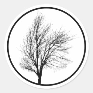 Autocollant nu de silhouette d'arbre