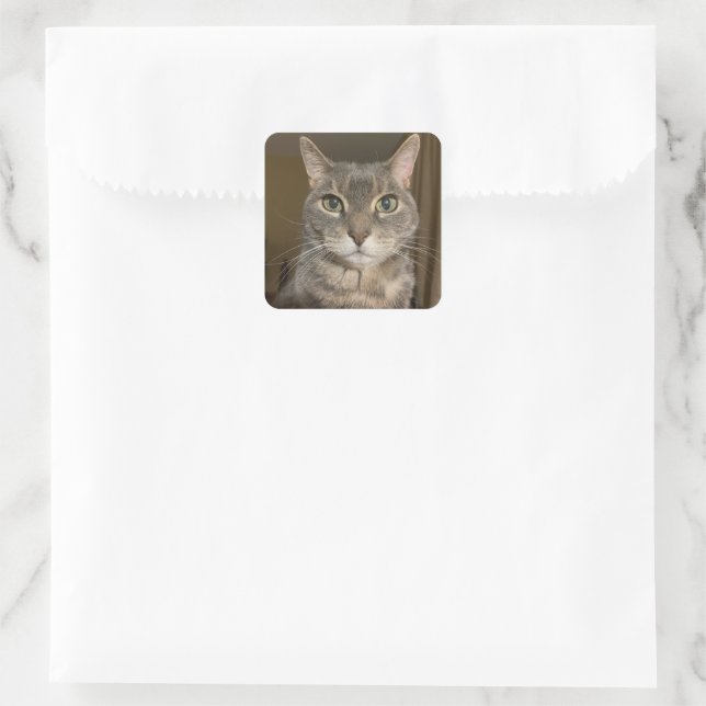 Autocollant Ophelia (Sac)