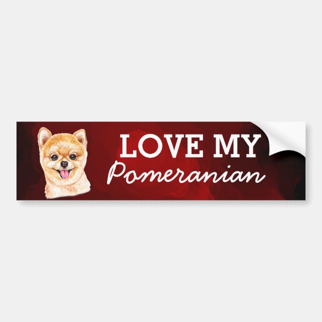 Autocollant pare-chocs Poméranien (Devant)