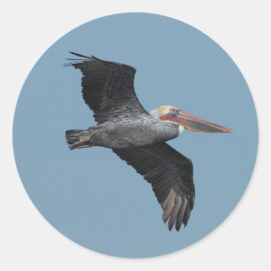 Autocollant Pelican 14 volant