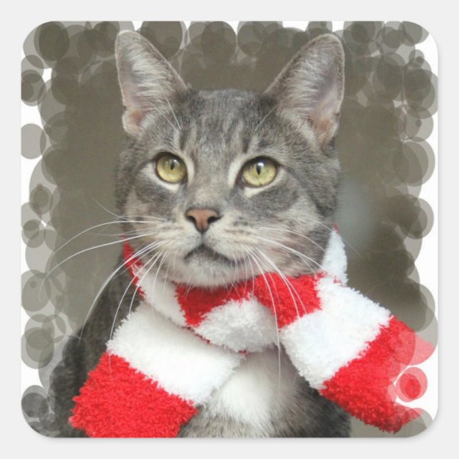 Autocollant père Noël Helper Cat (Devant)