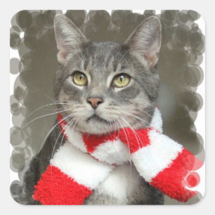 Autocollant père Noël Helper Cat