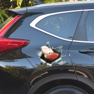 Autocollant perroquet Galah rose – Décalque d'oise