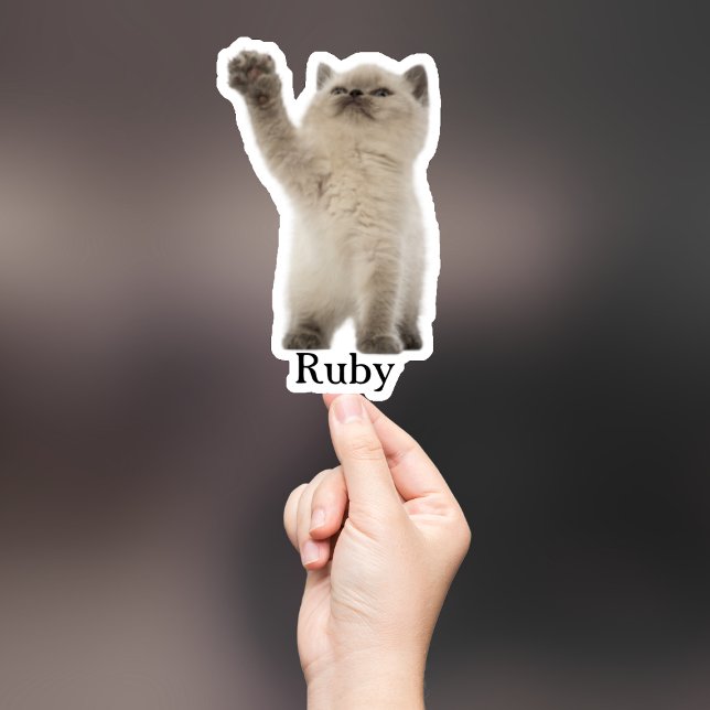 Autocollant personnalisé pour animaux de compagnie (Créateur téléchargé)