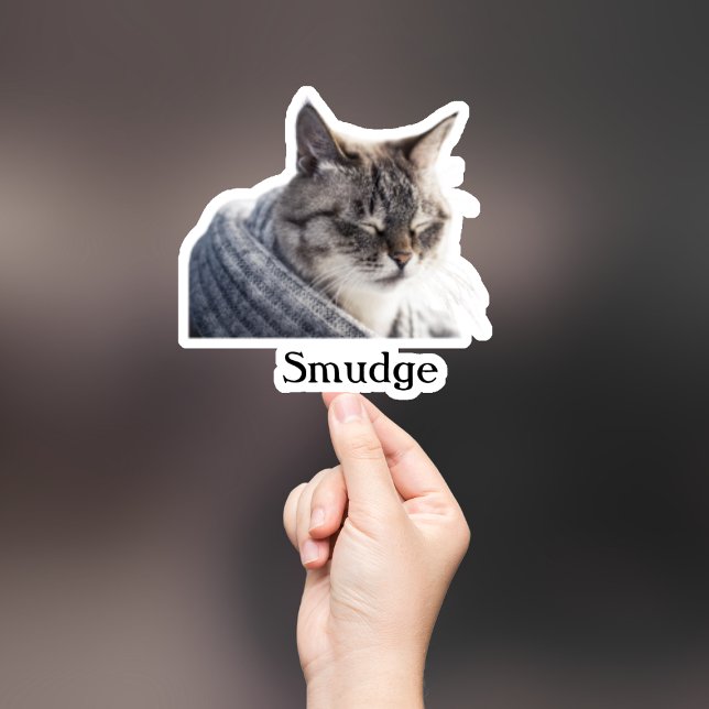 Autocollant personnalisé pour animaux de compagnie (Créateur téléchargé)