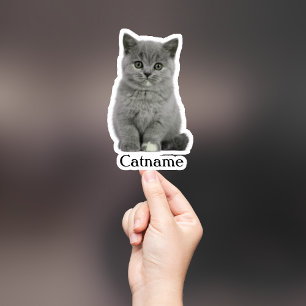 Autocollant personnalisé pour animaux, vinyle déco