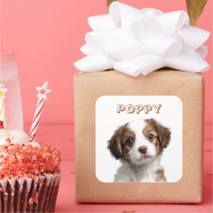 Autocollant photo et nom de chien personnalisé