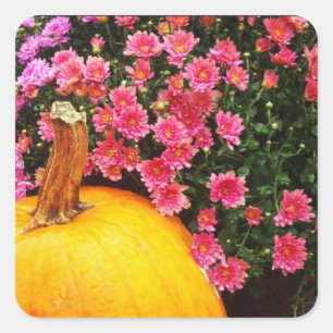 autocollant photo instagram