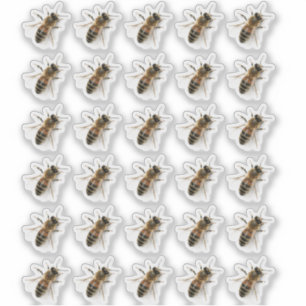 Autocollant photo pour abeille à miel à filature t