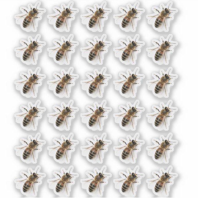 Autocollant photo pour abeille à miel à filature t (Devant)