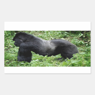 Autocollant photo Silverback gorilla