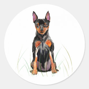 Autocollant Pinscher Nain, Amateur de chien Min Pi