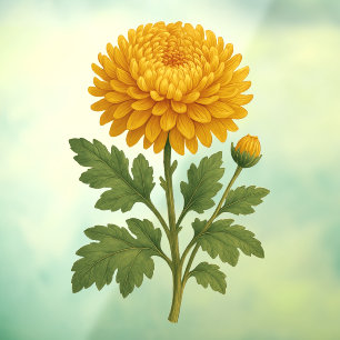 AUTOCOLLANT POUR FENÊTRE 