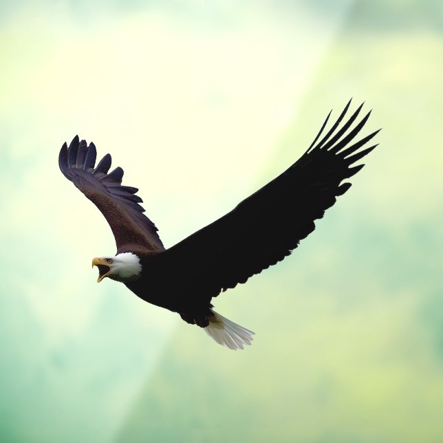 Autocollant Pour Fenêtre Aigle volant coupé (Feuille 3)