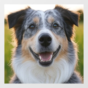 Autocollant Pour Fenêtre Ajouter une Personnaliser photo pour animaux domes