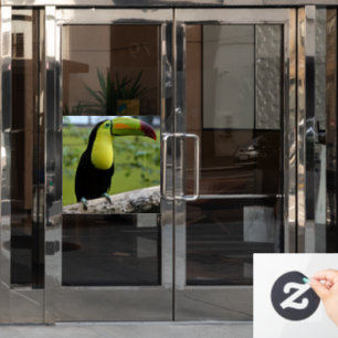 Autocollant Pour Fenêtre Autocollant de fenêtre TOUCAN OISEAU