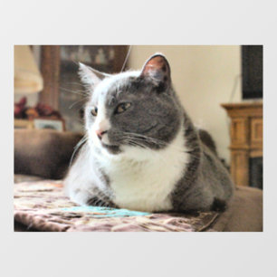 Autocollant Pour Fenêtre Cat