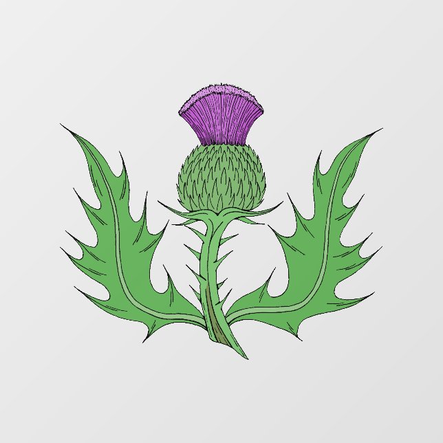 Autocollant Pour Fenêtre Chardon (Feuille)