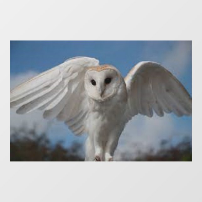 AUTOCOLLANT POUR FENÊTRE CLAIR DE LA FENÊTRE "OWL IN FLIGHT" (Feuille)