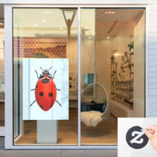 Autocollant Pour Fenêtre Coccinelle Chanceuse