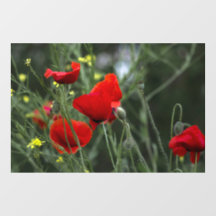 Autocollant pour fenêtre - Coquelicots sauvages da