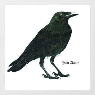 Autocollant Pour Fenêtre Corbeau noir