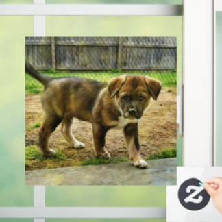 Autocollant Pour Fenêtre Couche de la fenêtre T-Shirt