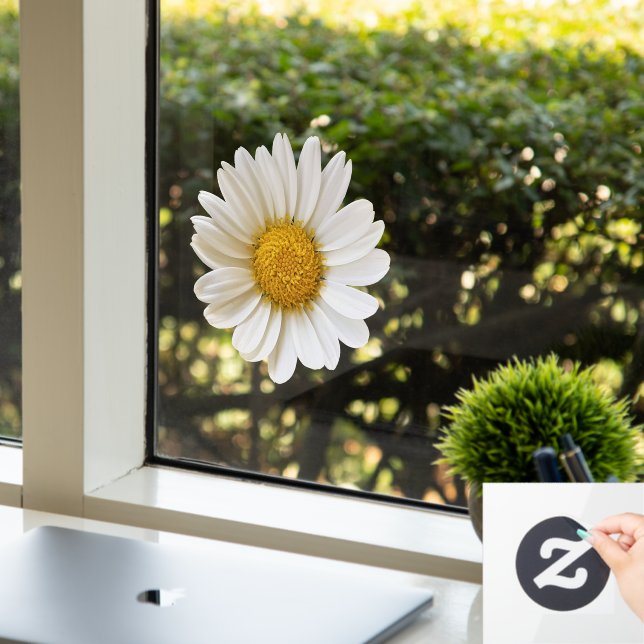 Autocollant Pour Fenêtre Fleur marguerite blanche (Bureau)