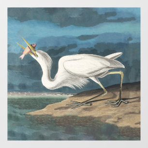 Autocollant Pour Fenêtre Grande Aigrette d'Audubon : Oiseau côtier vintage