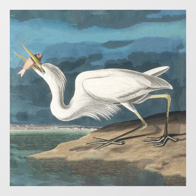 Autocollant Pour Fenêtre Grande Peinture de la faune d'Audubon Heron blanc (Feuille)