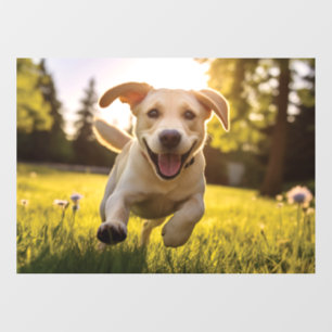 Autocollant Pour Fenêtre Joyeux Labrador Puppy Running