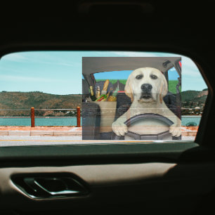 Autocollant Pour Fenêtre Labrador Retriever Chien Drôle Conduisant Voiture