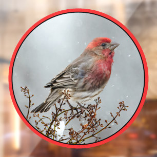 Autocollant Pour Fenêtre Maison Finch en Neige - Photo originale