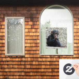 Autocollant Pour Fenêtre Mer de Chimpané 013