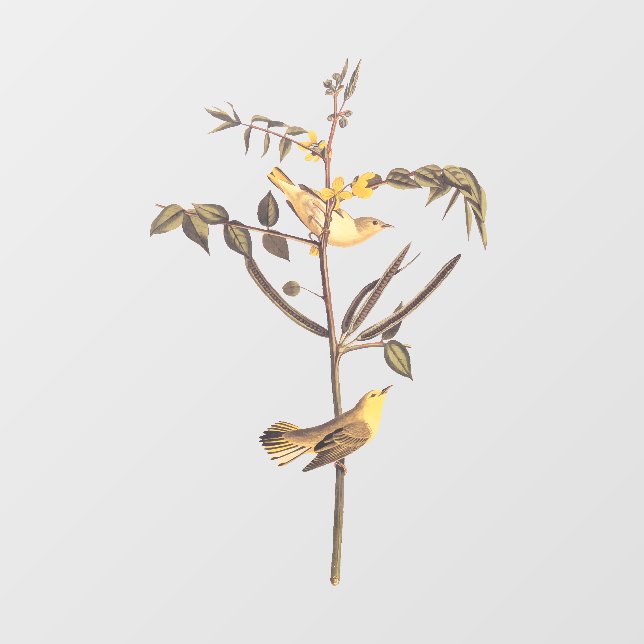Autocollant Pour Fenêtre Oiseau de Paruline pour enfants (Feuille)
