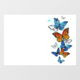 Autocollant Pour Fenêtre Papillons volants Morpho et Monarch