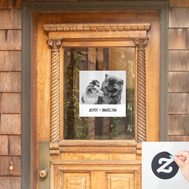 Autocollant Pour Fenêtre Photo simple, moderne personnalisée pour animaux d (Porte d'accueil)
