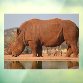 Autocollant Pour Fenêtre Rhino avec boue sur la peau photo