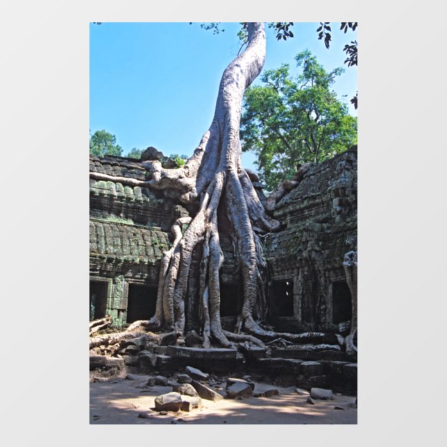 Autocollant Pour Fenêtre Ruine de Ta Prohm - Angkor Vat, Cambodge, Asie (Feuille)