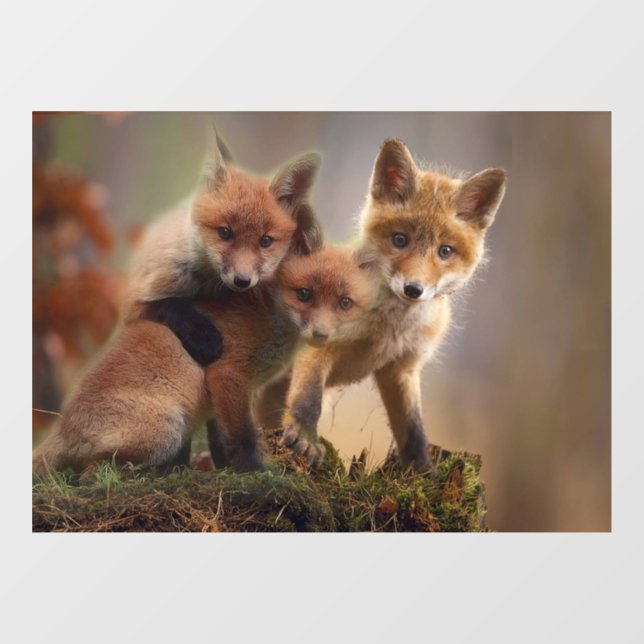 Autocollant Pour Fenêtre Triplets Foxy (Feuille)