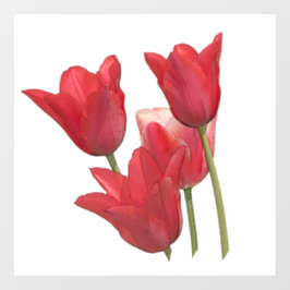 Autocollant Pour Fenêtre Tulipes rouges
