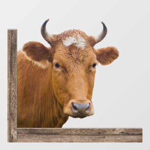 Autocollant Pour Fenêtre Vache regardant à l'intérieur ou à l'extérieur
