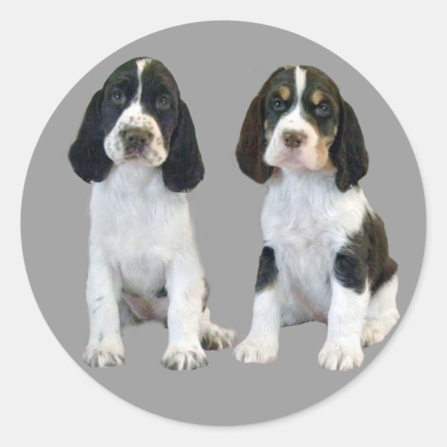 Autocollant pour marionnettes espagnols Springer a (Devant)