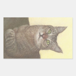 Autocollant rectangulaire Abyssinian Cat
