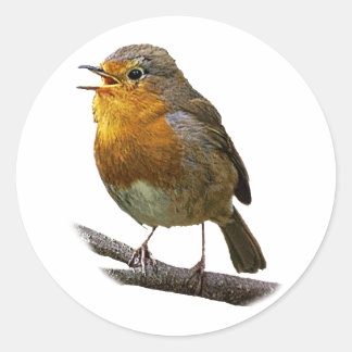 Autocollant Robin